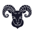 aries-300x300